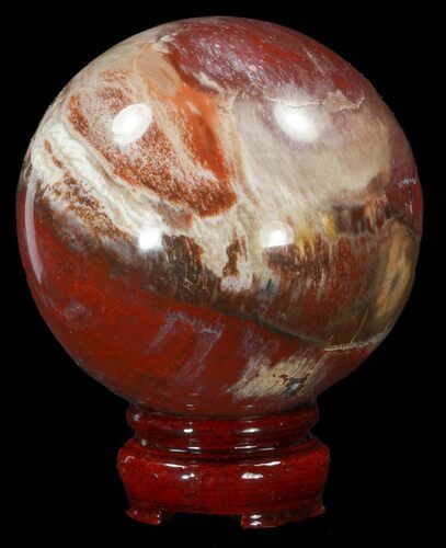 Colorful Petrified Wood Sphere #41932